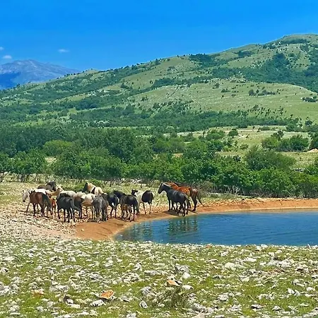 Отель Zlatni Dol Mostar