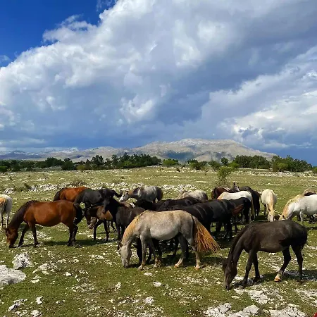 Zlatni Dol Mostar 3*